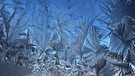 Eisblumen. Trotz Kälte stehen an manchen Tagen ganz besondere Pflanzen in voller Blüte. Sie sprießen an Fenstern, wuchern über Autoscheiben und glitzern an Bushaltestellen: Eisblumen. Ihr fragt euch, wie und warum sich im Winter Eiskristalle am Fenster bilden? Wir erklären euch, wann Eiskristalle und Eisblumen entstehen und warum Eiskristalle sechseckig sind. Außerdem erfahrt ihr, was der Unterschied zwischen Eiskristallen und einer Schneeflocke ist und wie viele Eiskristalle in einer Schneeflocke sind. | Bild: picture-alliance/dpa