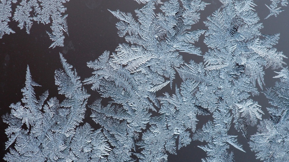 Eisblumen. Trotz Kälte stehen an manchen Tagen ganz besondere Pflanzen in voller Blüte. Sie sprießen an Fenstern, wuchern über Autoscheiben und glitzern an Bushaltestellen: Eisblumen. Wir erklären euch, wann Eiskristalle und Eisblumen entstehen und warum Eiskristalle sechseckig sind. Außerdem erfahrt ihr, was der Unterschied zwischen Eiskristallen und einer Schneeflocke ist und wie viele Eiskristalle in einer Schneeflocke sind. | Bild: picture-alliance/dpa