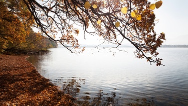 Witterung Altweibersommer: Herbstliche Landschaft am Staffelsee | Bild: BR/Herbert Ebner