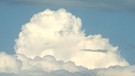 Wolke Cumulonimbus calvus (Cb)  = Schauer- und Gewitter-Wolke. Sonnenschein, Regen oder Gewitter: Wolken haben einen Einfluss auf das Wetter. Es gibt zehn Wolkengattungen und vier Wolkenfamilien. Auch Winde können die Wolkenbildung beeinflussen. Zudem wird untersucht, welchen Einfluss Wolken auf das Klima haben. | Bild: picture-alliance/dpa