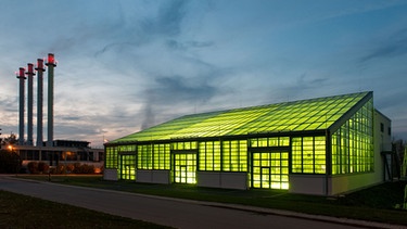 Das Algentechnikum der TU München auf dem Ludwig Bölkow Campus in Ottobrunn im Süden von München. | Bild: Andreas Heddergott / TUM 
