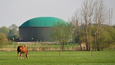Biogasanlage | Bild: picture-alliance/dpa