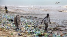 Plastikmüll am Meeres-Strand: Machen wir weiter so wie bisher, landen im Jahr 2040 etwa 2,5-mal so viele Plastikabfälle und Kunststoffe im Meer und in der Umwelt an Land, das zeigt eine aktuelle Studie. Entschiedene, schnelle Maßnahmen könnten die Plastik-Flut in die Meere und die Umwelt bis 2040 deutlich verringern.  | Bild: dpa-Bildfunk/Christian Thompson