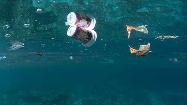 Plastikbecher und Plastikmüll schwimmen im Meer | Bild: imago/imagebroker
