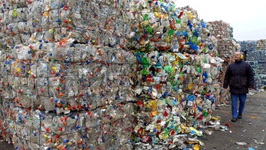 Recycling von PET-Flaschen, Kunststoff | Bild: picture-alliance/dpa