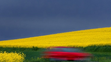 Auto fährt an Rapsfeld vorbei | Bild: picture-alliance/dpa