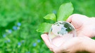 Wie können wir die Erde besser schützen? Themen rund um Umweltschutz und Nachhaltigkeit | Bild: colourbox.com