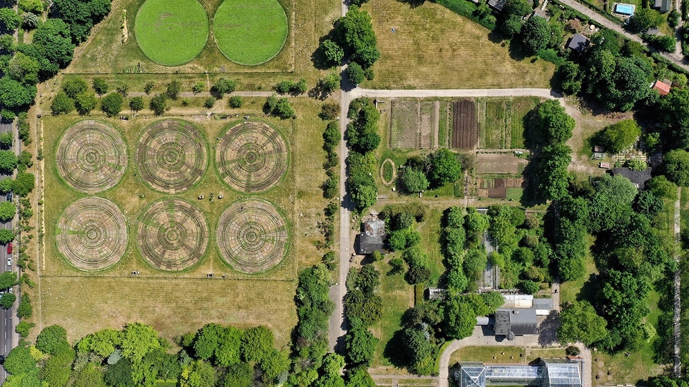 Luftbild eines Weltackers | Bild: Volker Gehrmann/Zukunftsstiftung Landwirtschaft