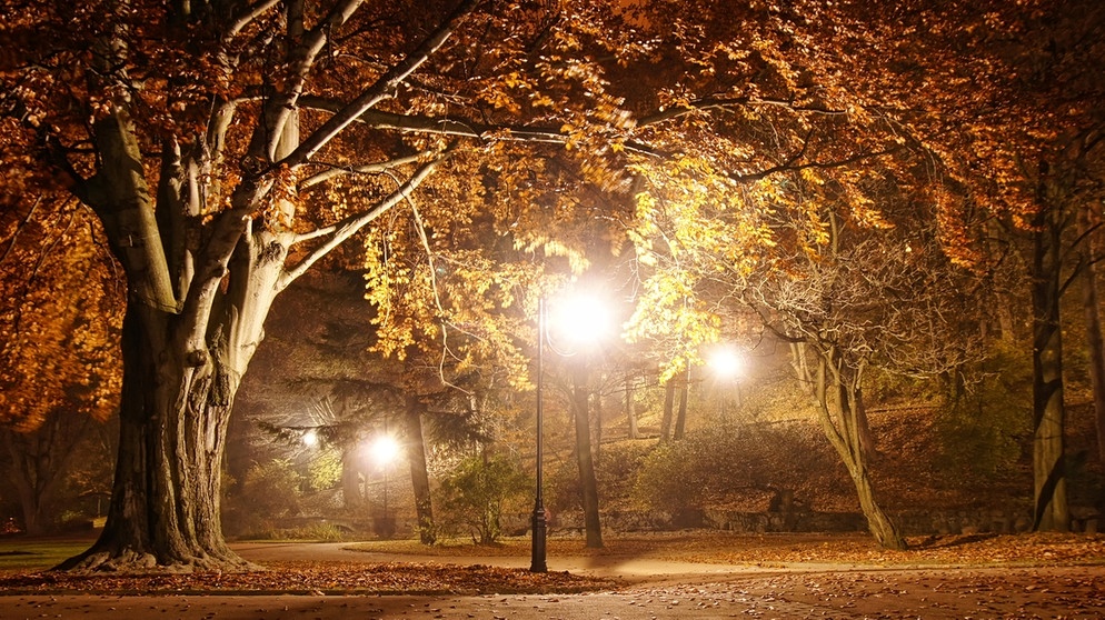 Nach der Zeitumstellung auf Winterzeit ist es abends früher dunkel: Auf Ihrem Heimweg am Feierabend leuchten schon die Laternen zwischen dem Herbstlaub. | Bild: colourbox.com