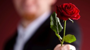 Mann streckt eine rote Rose entgegen | Bild: colourbox.de