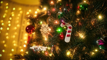 Bei manchen Menschen dreht sich alles um den Weihnachtsbaum - wie zum Beispiel jenem im Bild. Mehr Geschichten über Händler, Sammler und Plastikbäume in der Nordreportage. | Bild: colourbox.com