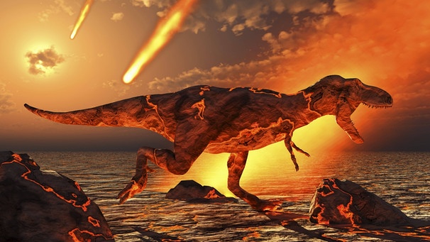 Dinosaurier starben durch einen Asteroideneinschlag aus (Symbolbild) | Bild: imago/Mark Stevenson / Stocktrek Images