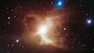 Der Toby-Jug-Nebel IC2220, aufgenommen vom Very Large Telescope VLT der ESO | Bild: ESO