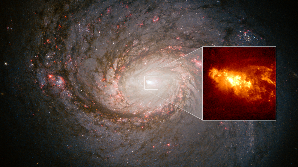Im Zentrum der Galaxie NGC 1068 sitzt ein supermassives Schwarzes Loch. Sichtbar wird es in dieser Hubble-Aufnahme, die im Dezember 2021 veröffentlicht wurde, durch Wolken aus Wasserstoff, die von Eruptionen aus dem Schwarzen Loch aufleuchten.  | Bild: NASA, ESA, Alex Filippenko (UC Berkeley), William Sparks (STScI), Luis C. Ho (KIAA-PKU), Matthew A Malkan (UCLA), Alessandro Capetti (STScI)