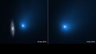Aufnahmen von Komet 2I/Borisov am 16. November und 9. Dezember 2019  | Bild: NASA, ESA and D. Jewitt (UCLA)