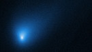 Das Bild zeigt einen blau leuchtenden Schweif mit einem noch heller leuchtenden Kern im rechten unteren Bildabschnitt. Es handelt sich um eine Aufnahme des interstellaren Kometen 2l/Borisov | Bild: NASA, ESA and D. Jewitt (UCLA)
