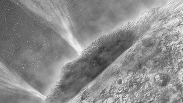 Jets enströmen einem Kometenkern (Illustration). Nähert sich ein Komet der Sonne, erhitzt diese das Eis des Kometen. Als Gas enströmt es dem Kometenkern (Nukleus) und bildet den Schweif des Kometen. | Bild: NASA