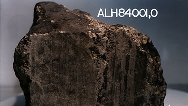 Der Meteorit ALH84001 stammt vermutlich vom Mars.  | Bild: NASA