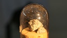 Fundstück des Meteoriten aus Massing (ehemals Mässing) | Bild: Bayerisches Landesamt für Umwelt