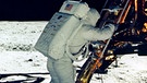 Buzz Aldrin klettert auf den Mond | Bild: Nasa