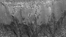 Basaltschichten im Kraterrand des Herigonius Krater auf dem Mond, aufgenommen von der Mondsonde LRO. Der Lunar Reconnaissance Orbiter nimmt unseren Mond seit 2009 ganz genau unter die Lupe: Bis auf fünfzig Zentimeter genau erkunden seine Instrumente unseren Trabanten. Und entdecken dabei so einiges ... seht selbst! | Bild: NASA / GSFC / Arizona State University