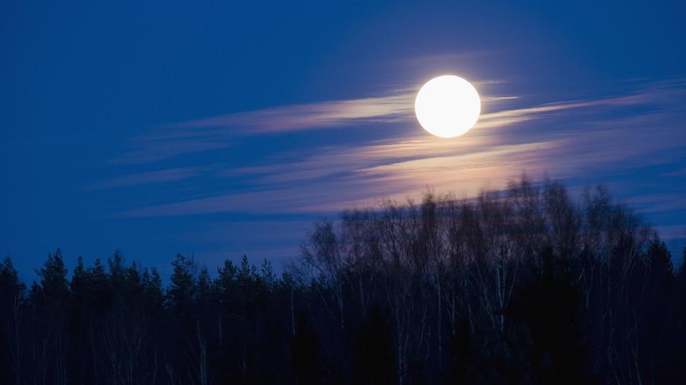 Vollmond. Welche Mondmythen sind wissenschaftlich bewiesen? | Bild: picture-alliance/dpa