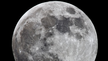 Vollmond: Unser von Kratern übersäter Mond umkreist die Erde seit Milliarden von Jahren. Seit Jahrmilliarden umkreist der Mond die Erde. Mythen und Legenden ranken sich um die Silbersichel. Wie sieht es auf dem Mond aus? Wie alt ist der Mond tatsächlich? Wir erklären euch neue spannende Fakten über den Himmelskörper in unserem Universum. | Bild: picture-alliance/dpa