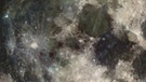 Vollmondscheibe mit deutlichem Mondgesicht aus Maria, aufgenommen von der Sonde Galileo | Bild: NASA