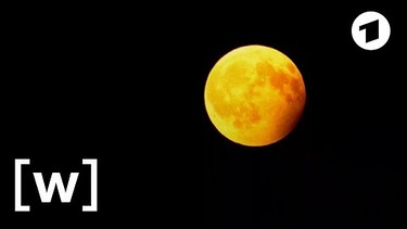 Wie ein Stück Mondgestein ins Nördlinger Ries kam | [W] wie Wissen | Bild: [W] wie Wissen (via YouTube)