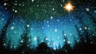Sterne und Kometen über Nachthimmel | Bild: picture-alliance/dpa