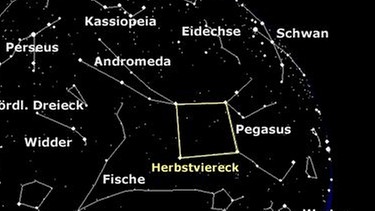 Das typische Viereck am Herbsthimmel wird vom Sternbild Pegasus gebildet. Die Sternkarte zeigt den Anblick des südlichen Himmels etwa um Mitternacht im Oktober (zwei Uhr im September, zehn Uhr im November, Angaben in MEZ). | Bild: BR, SkyObserver