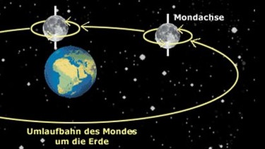 Grafische Darstellung der Rotation des Mondes um sich selbst und seiner Umlaufbahn um die Erde.  | Bild: BR