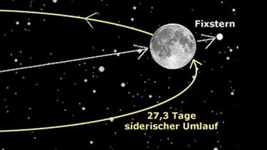 Grafische Darstellung der Siderischen Umlaufzeit: die 27,5 Tage, die der Mond braucht um die Erde zu umrunden und wieder die gleiche Position zu den Fixsternen einzunehmen | Bild: BR