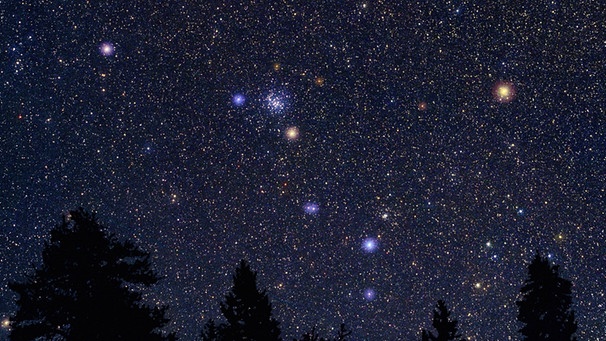 Das Sternbild Krebs (Cancer, Cnc) am Sternenhimmel mit deutlich erkennbarem Sternhaufen Praesepe (M44). Die Hauptsterne sind größer als in Realtität dargestellt. | Bild: imago/B&S.Fletcher/Novapix/Leemage
