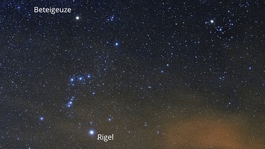 Das Winterbild Orion weist viele sehr helle Sterne auf. Der hellste ist Rigel mit einer scheinbaren Helligkeit von 0,12 mag. Er ist rund 800 Lichtjahre von uns entfernt. Beteigeuze, Orions Schulter, ist dagegen nur etwa 400 Lichtjahre entfernt, aber mit 0,3 bis 0,6 mag weniger hell. Rigels Leuchtkraft ist sechsmal höher. Der hellste Stern am Himmel ist Sirius im Sternbild Großer Hund (links) mit einer scheinbaren Helligkeit von -1,46 mag. | Bild: imago/Leemage