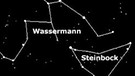 Die umliegenden Sternbilder der Formation Wassermann (Aquarius) | Bild: BR, SkyObserver