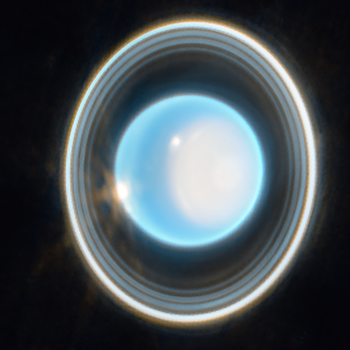 11 der 13 bekannten Ringe um den Planeten Uranus in einer hochaufgelösten Aufnahme des James Webb Teleskops JWST vom 6. Februar 2023 | Bild: NASA, ESA, CSA, STScI. Image processing: J. DePasquale (STScI)
