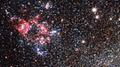 Die Zwerggalaxie IC 1613 im Sternbild Walfisch. | Bild: ESO