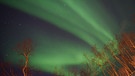 Polarlichter im Abisko Nationalpark in Schwedisch Lappland | Bild: Edeltraud Köhler