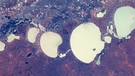 Salzseen in Australien | Bild: ESA/NASA