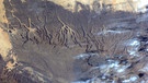 Tibesti-Gebirge im Tschad | Bild: ESA/NASA