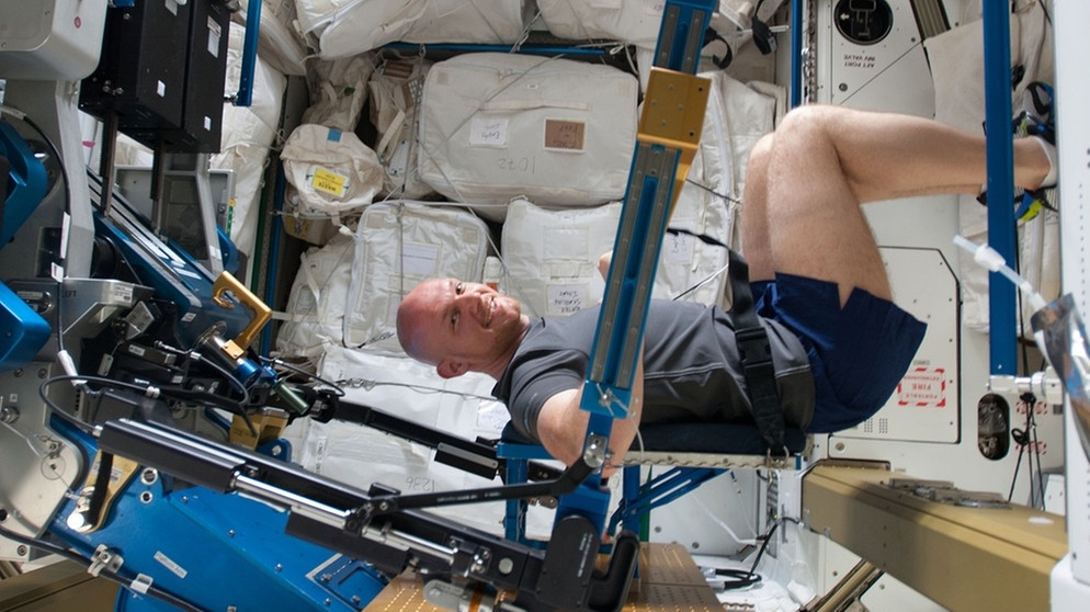 der deutsche Astronaut Alexander Gerst beim Muskelaufbautraining auf der Internationalen Raumstation ISS | Bild: ESA/NASA
