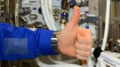 Alexander Gerst am 4. November 2014 im Columbus-Forschungsmodul der ISS: Am Ende eines knappen halben Jahres auf der Raumstation ist der deutsche Astronaut begeistert, was an Forschungsleistung im All möglich ist. | Bild: ESA/NASA