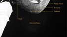 Einblicke in die Geologie des Merkur | Bild: ESA