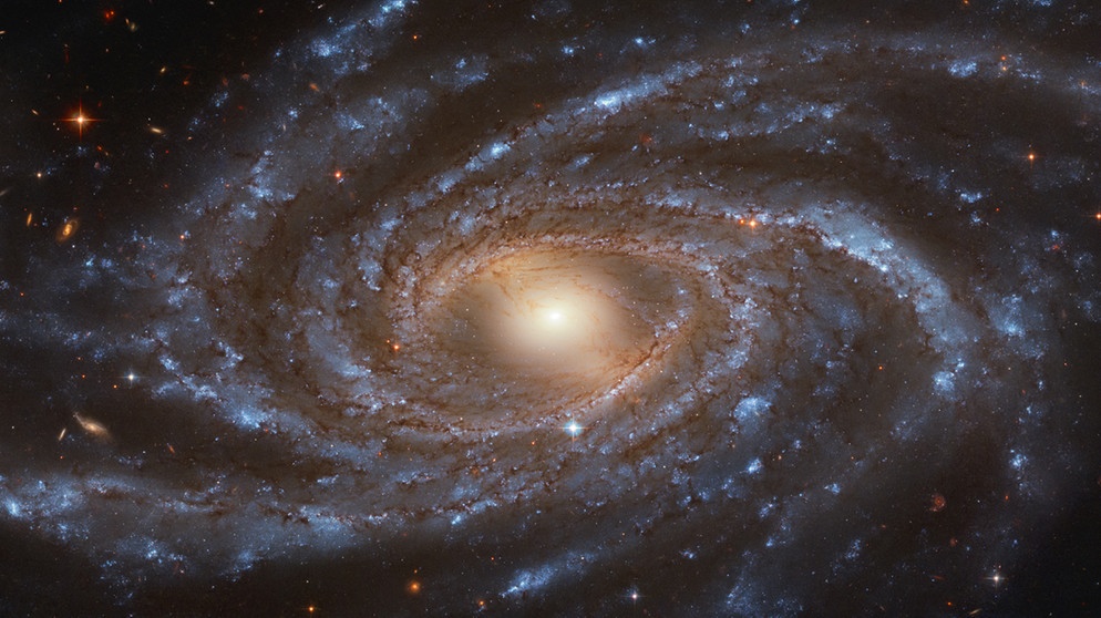 Galaxie NGC 2336, aufgenommen vom Weltraumteleskop Hubble | Bild: ESA/Hubble & NASA, V. Antoniou; Acknowledgment: Judy Schmidt