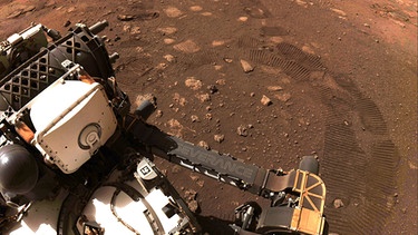 Der Rover «Perseverance» der NASA fährt über den Planeten Mars.   | Bild: dpa-Bildfunk/Nasa