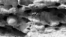 Die liebevoll als "Blaubeermuffin" bezeichneten Strukturen in einer Detailaufnahme eines Felsens namens Last Chance. Die Aufnahme stammt von Opportunity, dem Mars-Rover der NASA. | Bild: NASA