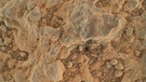 Nahaufnahme des Felsbodens, den der Mars-Rover Perseverance auf der Suche nach einer Bodenprobe erkundet. Aufnahme vom 10. Juli 2021  | Bild: NASA/JPL-Caltech/MSSS