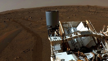 Am 1. Juli 2021 blickt der Mars-Rover Perseverance stolz zurück: über 100 Meter hat er an diesem Tag zurückgelegt.  | Bild: NASA/JPL-Caltech