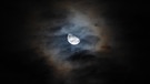 Am 24.01.2022 um 01.11 Uhr hat Gisela Ilk einen Halbmond betrachten können, der sich hinter bunten Nachtwolken versteckt. | Bild: Gisela Ilk